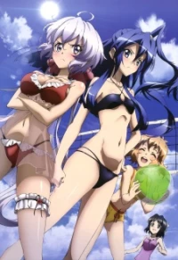 Senki Zesshou Symphogear G: Senki Zesshou Shinai Symphogear - Senhime Zesshou Symphogear G (2014)